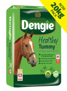 DENGIE Healthy Tummy 20 kg