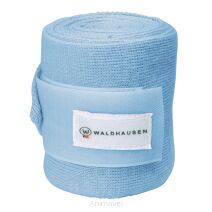 Waldhausen