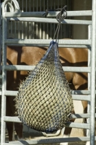 Busse