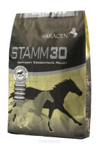 Saracen