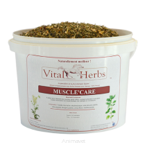 Vital Herbs