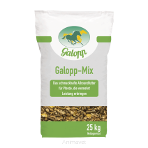 Galopp