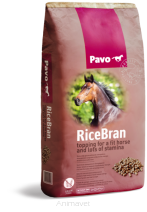 Pavo