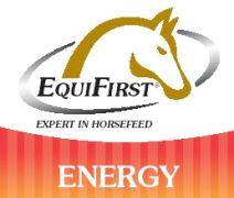 Equilannoo