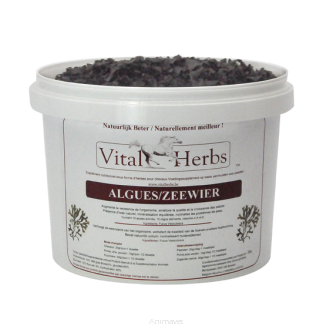 VITAL HERBS Seaweed 1,5 kg 