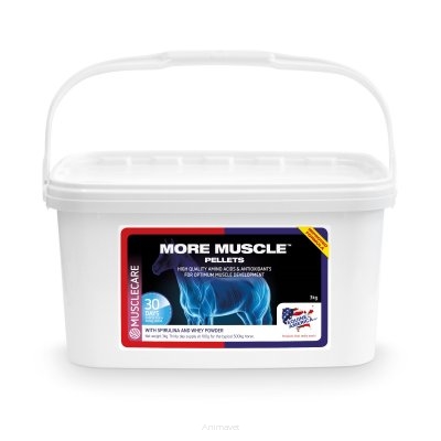 EQUINE AMERICA UK More Muscle Pellets 3 kg