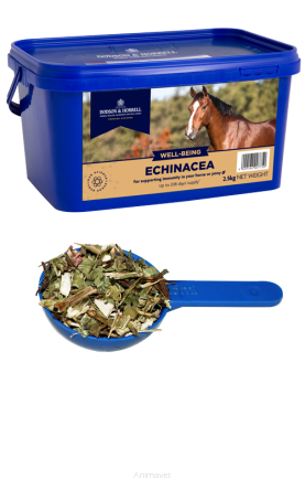 DODSON & HORRELL Echinacea 1 kg