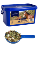 DODSON & HORRELL Echinacea 1 kg