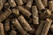 ST. HIPPOLYT La Rosslet Sports pellet 25 kg - 2
