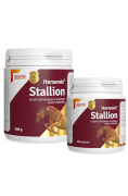 DOLFOS Horsemix Stallion 2 kg