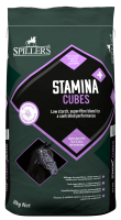 SPILLERS Stamina Cubes 20kg