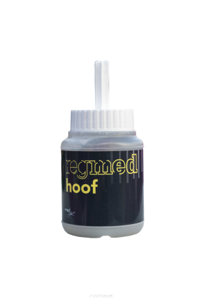 MEDVETICO Regmed Hoof Gel 450ml