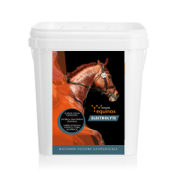 YARROWIA Equinox Electrolyte 3 kg