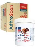 SCANVET ArthroScan Kęsy dla psów 60 tabletek