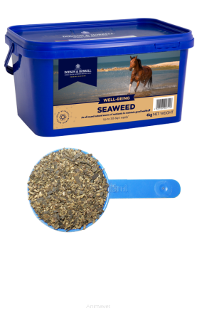 DODSON & HORRELL Seaweed 2 kg