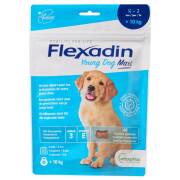 VETOQUINOL Flexadin Young Dog Maxi na stawy dla dużych psów 60 tab
