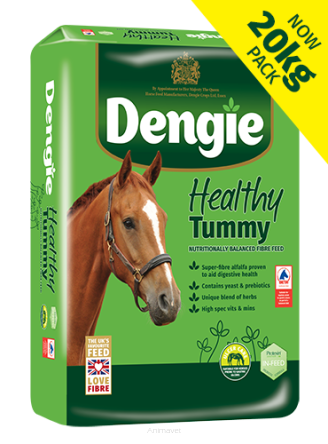 DENGIE Healthy Tummy 20 kg