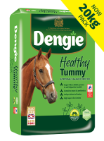 DENGIE Healthy Tummy 20 kg
