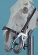 EQUIVET Rozwieracz Hausmann / Climax dla koni - 2