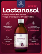 HIPPOVET Pharmacy – Lactanasol 250 ml – intensywne odkwaszanie i ochrona mięśni - 2