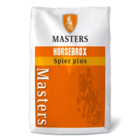 MASTERS Spier-Plus - granulat na rozbudowę mięśni 20 kg