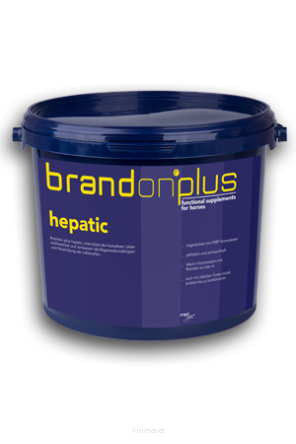 MEDVETICO Brandon Plus Hepatic 3 kg