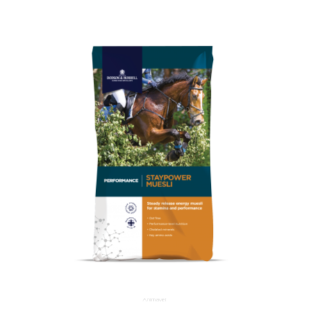 DODSON & HORRELL Staypower Musli 20 kg