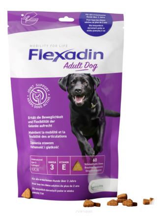 VETOQUINOL Flexadin Adult Dog na stawy dla dorosłych psów 60 tab