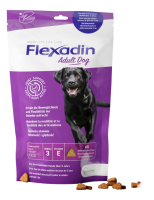 VETOQUINOL Flexadin Adult Dog na stawy dla dorosłych psów 60 tab