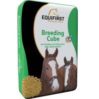 EQUIFIRST Breeding Cube 20 kg