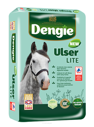 DENGIE Ulser Lite 20 kg