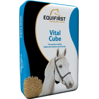 EQUIFIRST Vital Cube 20 kg