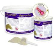 EQUIPUR Ferrochel 1 kg