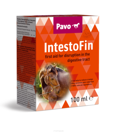 PAVO IntestoFin 100 ml