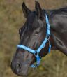 WALDHAUSEN Kantar Little Horse - 5