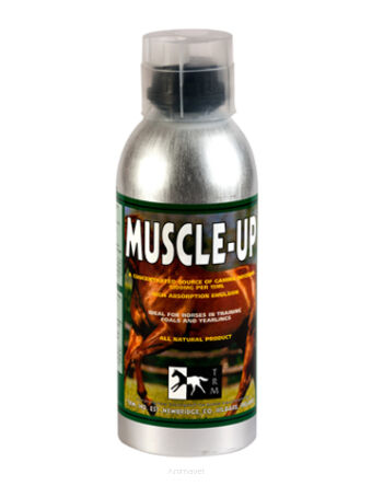 TRM Muscle-Up 960 ml