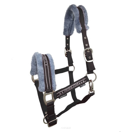 HE HORSENJOY Kantar Horse Star