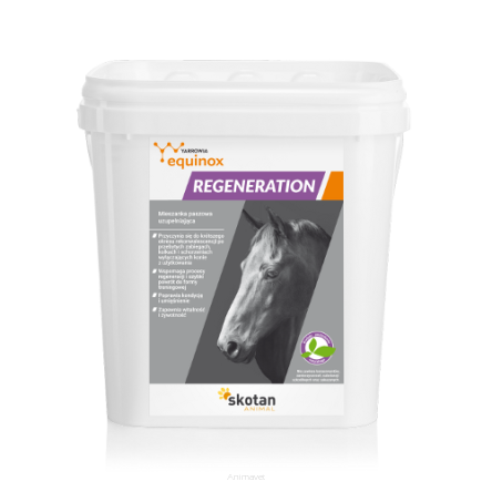 YARROWIA Equinox Regeneration 3 kg