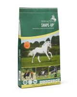 SARACEN Shape Up Balancer 20kg