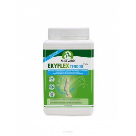 AUDEVARD Ekyflex Tendon Evo 1,8 kg