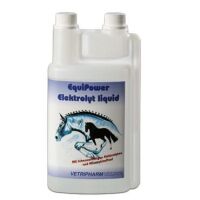 EQUIPOWER Elektrolit Liquid 1000 ml
