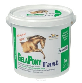 ORLING Gelapony Fast 600g