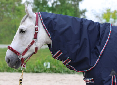 HE HORSENJOY Kaptur do derki Aristo