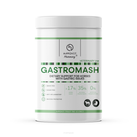 HIPPOVET Pharmacy VeterinaryLine GastroMash – mesz dla koni wrzodowych i kolkowych 1 kg