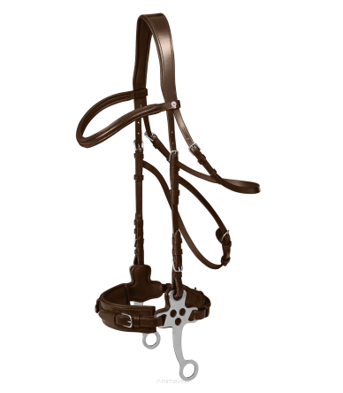 WALDHAUSEN Ogłowie Hackamore