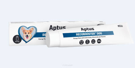 APTUS Recobooster Dog 100 g