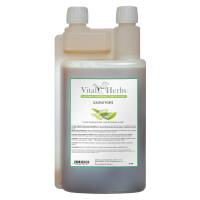 VITAL HERBS Gastro Forte Liquid 1000 ml