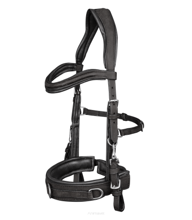 WALDHAUSEN Kawecan anatomiczny