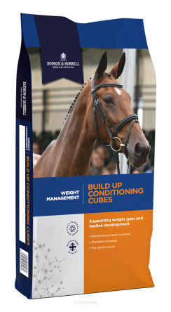 DODSON & HORRELL Build Up Conditioning Cubes 20 kg
