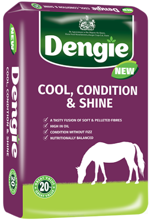 DENGIE Cool Condition & Shine 20 kg